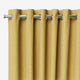 ColorizedZoom  5636