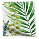 ColorizedSwatch Inky Botanical Leaf Green Curtains sample image 6052