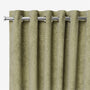 ColorizedZoom  6198