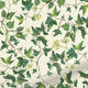 ColorizedZoom Ivy Green Curtains 6297