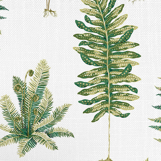 ColorizedZoom Fernery Fern Curtains 6566