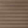 ColorizedZoom  8329