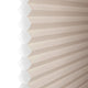 ColorizedZoom  8405