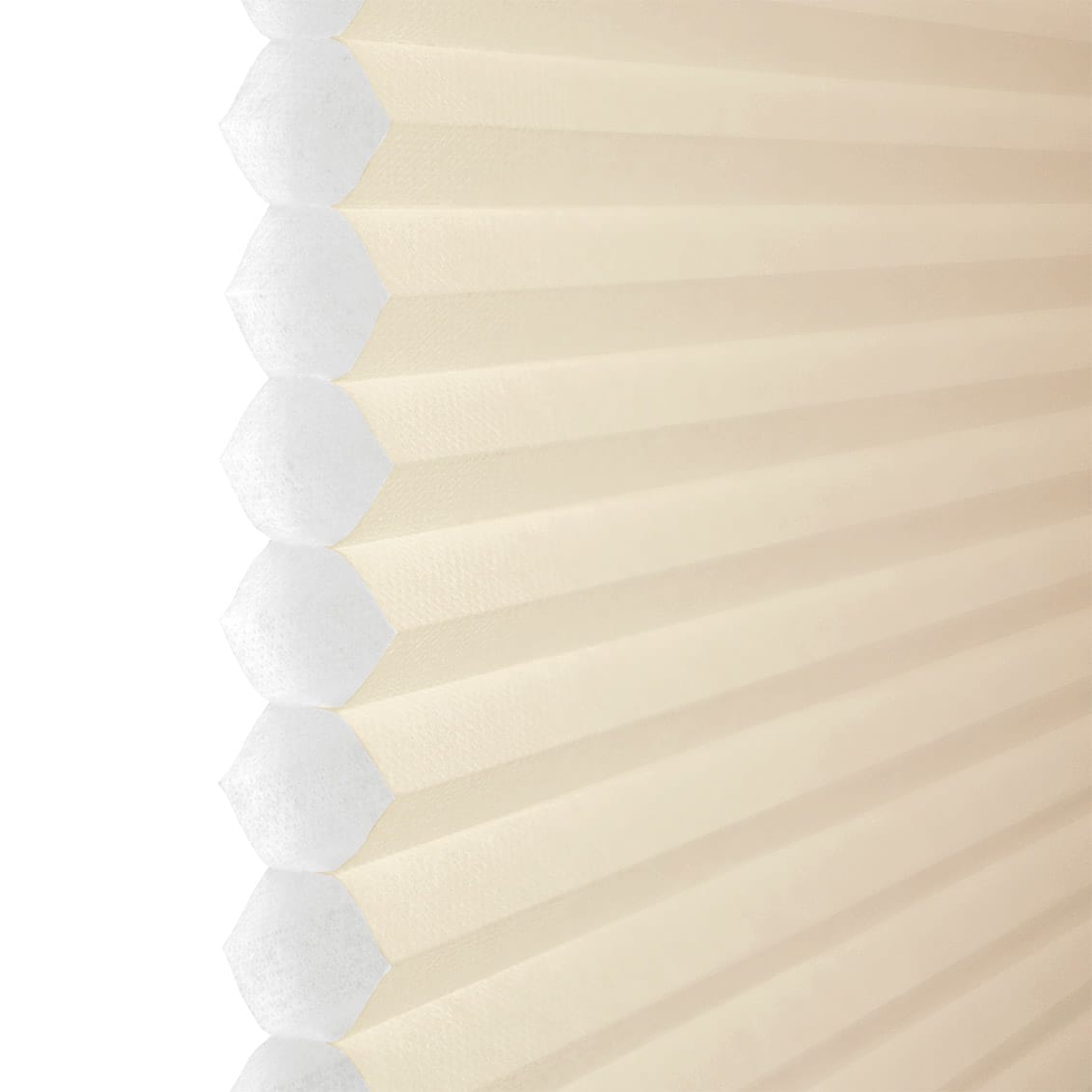 ColorizedZoom  8873