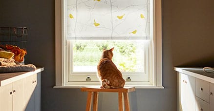roller blind in a kitchen with a cat in front of it